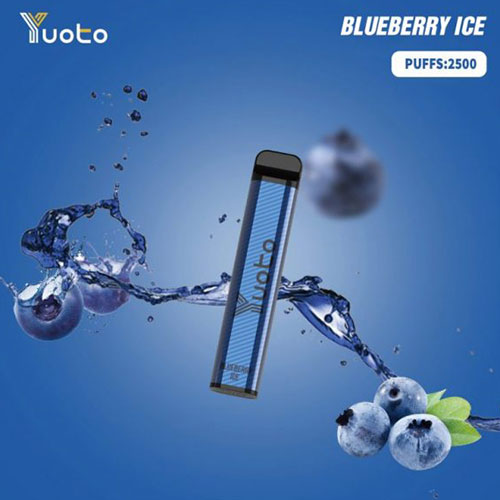 Yuoto-XXL-Blueberry