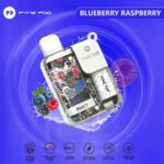 pyne-pod-disposable-kit-blueberry-raspberry