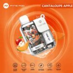 pyne-pod-disposable-kit-cantaloupe-apple