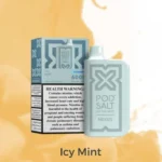 Pod Salt Nexus 6000 Puffs Icy Mint
