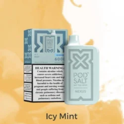 Pod Salt Nexus 6000 Puffs Icy Mint