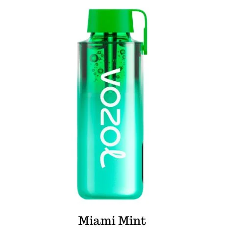 Vozol Neon Miami Mint 10000 Puffs